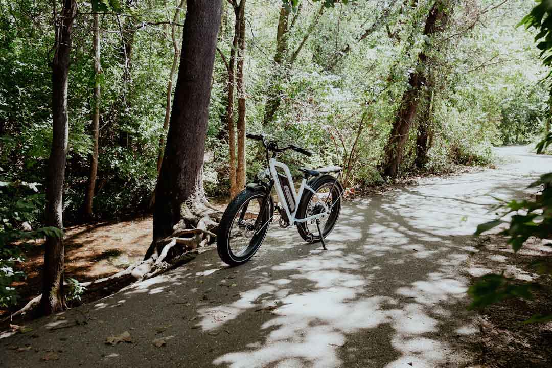 Road bike on a trail