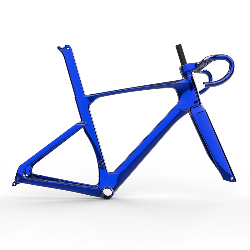 2026 T1100 Carbon Aero Road Frame FT216