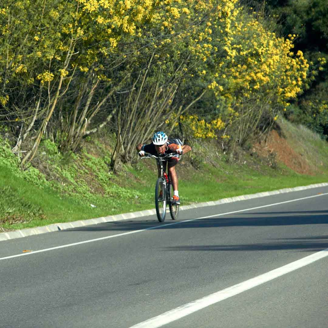Cyclist enjoying a long ride on a maintained road bike