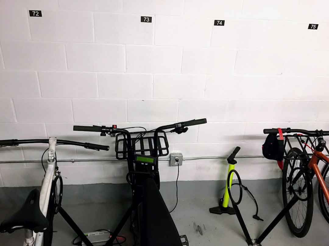 Different mountain bikes lined up for test rides